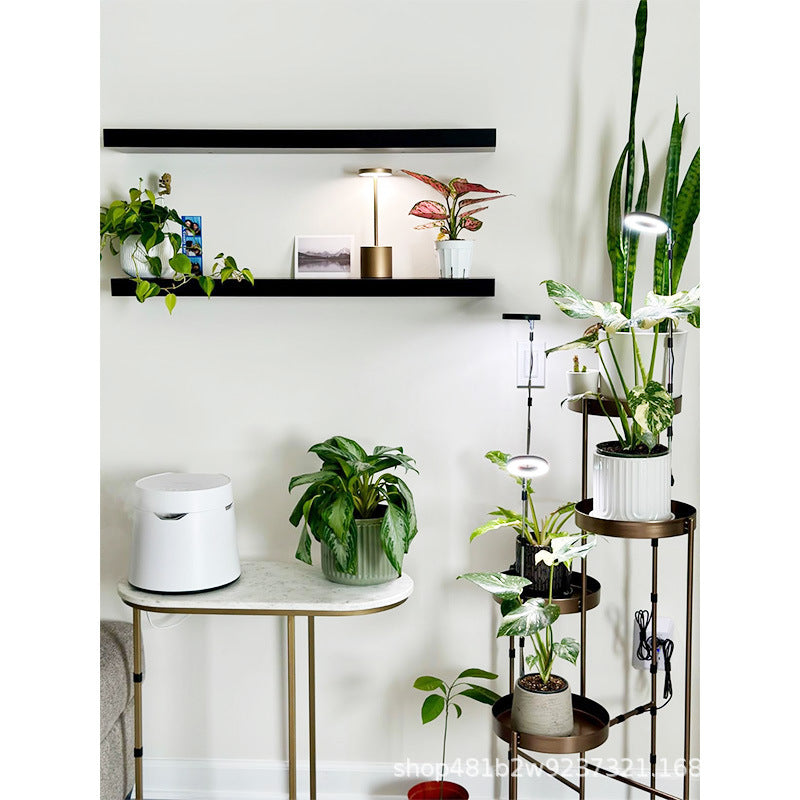 Plant Grow Light, LED Growing Light for Indoor Plants, Full Spectrum Desk Growth Lamp w/ Automatic Timer(3/9/12Hrs) & Height Adjustable, 10 Dimmable Brightness for Small Plants, 2 Packs, White